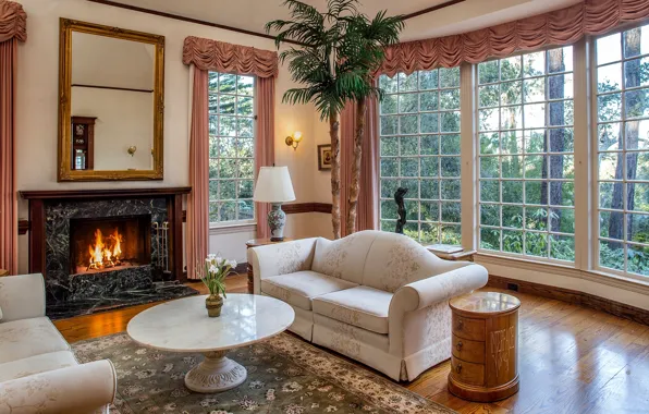 Lights, palm trees, table, sofa, mirror, window, fireplace