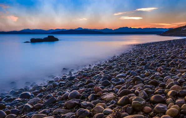 Picture water, fog, stones, pond