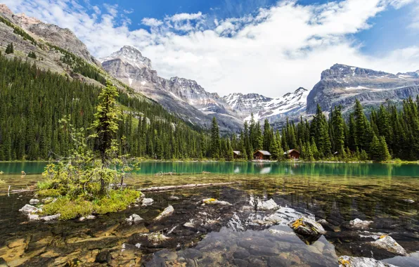 Forest, the sky, clouds, trees, mountains, lake, stones, rocks