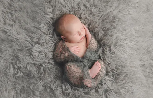 Child, sleep, boy, sleeping, cocoon, baby
