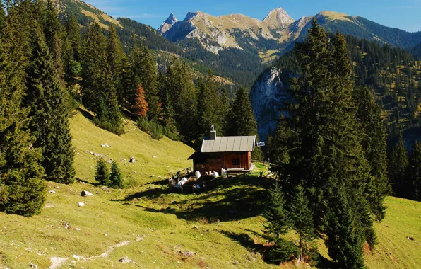 Landscape, mountains, nature, house, Germany, Bayern, Hohenschwangau