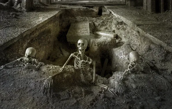 Holiday, skeletons, grave