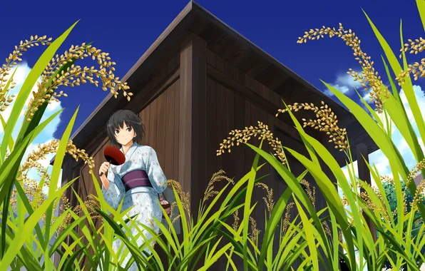 Nature, fan, kimono, amagami, Nanasaki Ai