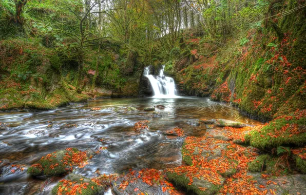 Picture autumn, forest, leaves, river, stones, waterfall, Ireland, Ireland