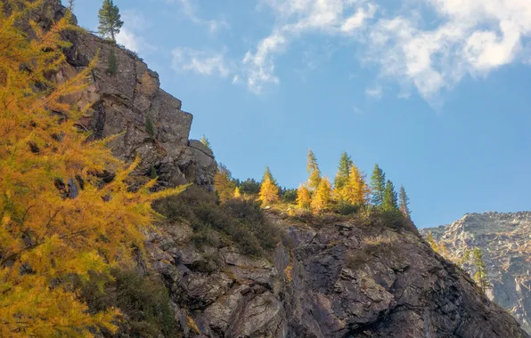 Autumn, the sky, trees, mountains, rocks