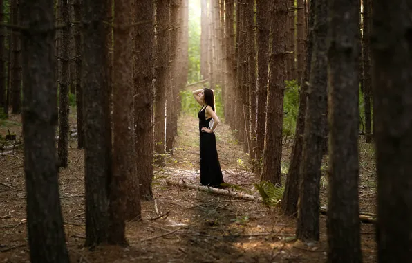 Picture forest, girl, trees, alley