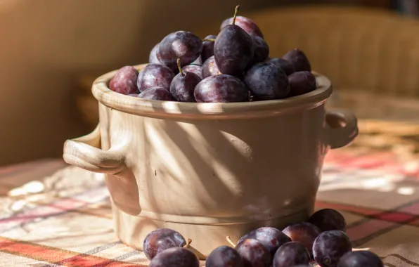 Picture light, table, food, fruit, pan, fruit, still life, plum