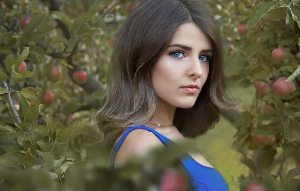 Picture look, girl, face, apples, portrait, garden, Karina, Apple