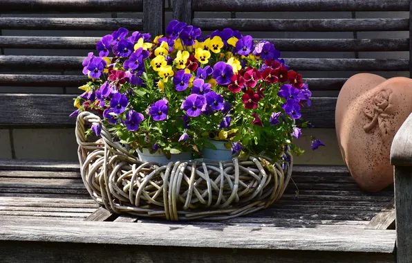 Light, flowers, bench, bright, heart, Board, bouquet, spring