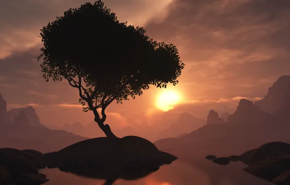 Sunset, tree, the evening, island