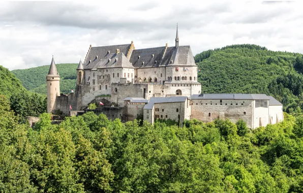 Forest, castle, Luxembourg, Vianden, Luxembourg, Diekirch, Vianden, Vianden Castle