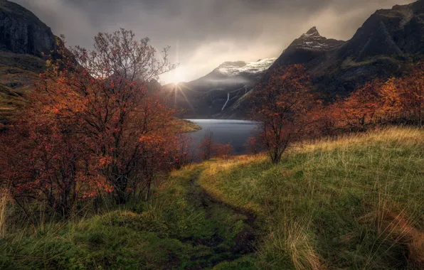 Autumn, grass, trees, mountains, clouds, lake, river, shore