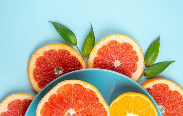 Leaves, oranges, plate, fruit, blue background, composition, grapefruit