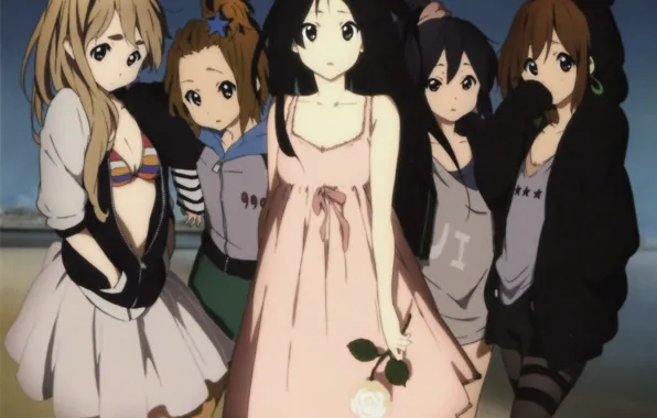 Rose, Schoolgirls, friends, K-on, Mio Akiyama, Azusa Nakano, Tsumugi Kotobuki, Yui Hirasawa
