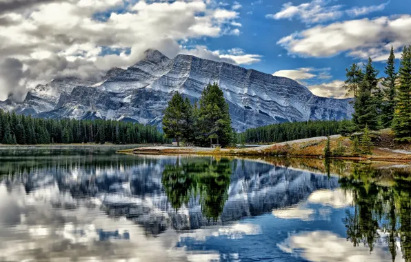 Picture trees, mountains, lake, reflection, Canada, Albert, Banff National Park, Alberta