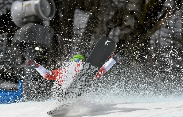 Snowboard, Sochi 2014, Paralympic winter games
