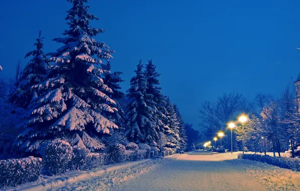 Picture winter, road, snow, landscape, Park, the evening, ate, lights