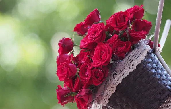 Picture background, roses, basket, buds