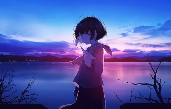 Picture schoolgirl, twilight, paper airplane