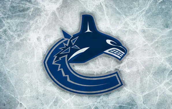 Picture hockey, NHL, NHL, hockey, The Vancouver Canucks, Vancouver Canucks