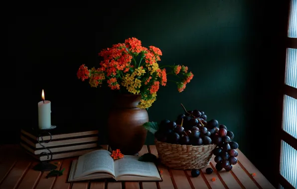 Picture books, candle, bouquet, grapes, still life, A guiding light