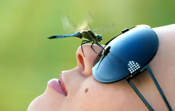 Face, dragonfly, glasses