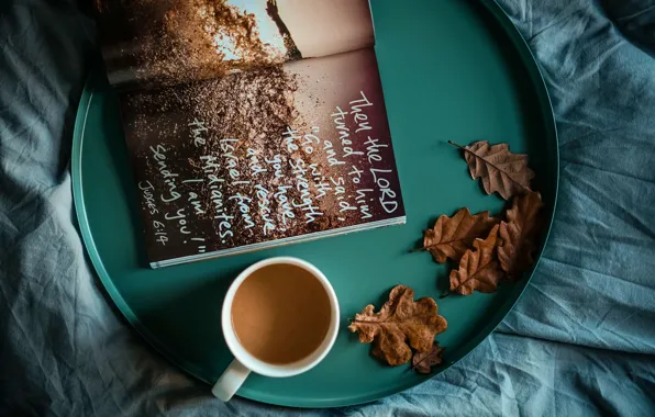 Leaves, photo, Wallpaper, mug, book, wallpaper, picture, tray