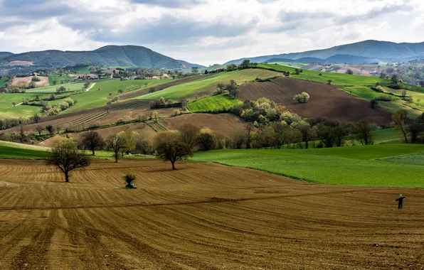 Trees, mountains, hills, field, Italy, Scarecrow, Campagna