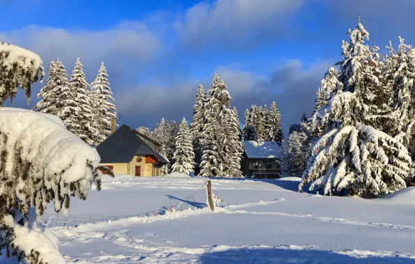 Picture winter, snow, trees, landscape, nature, France, home, ate