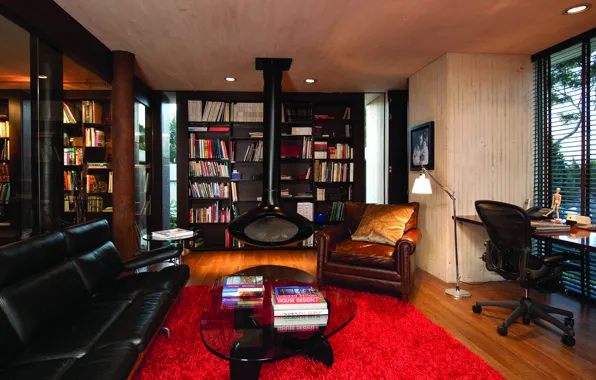 Sofa, furniture, books, interior, chair, fireplace, shelves