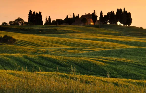House, the evening, hill, Italy, Tuscany, Val d'Orcia