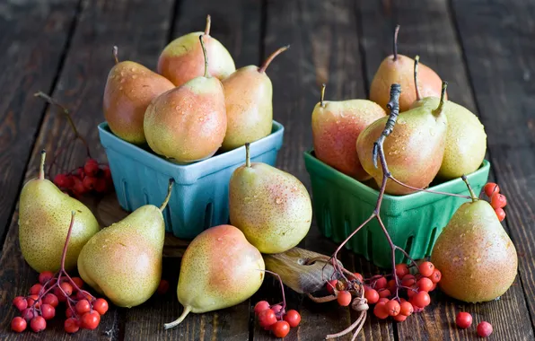 Picture autumn, berries, dishes, fruit, pear