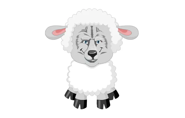 Picture wolf, white background, joke, sheep