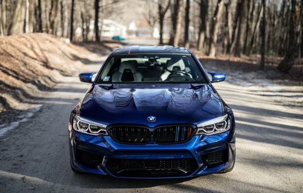 Picture BMW, Blue, Forest, Sight, F90, Adaptive LED