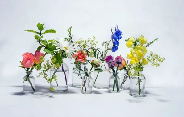 Picture bottle, bouquet, still life