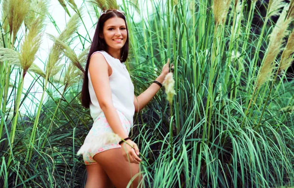 Picture summer, grass, look, girl, hair, figure
