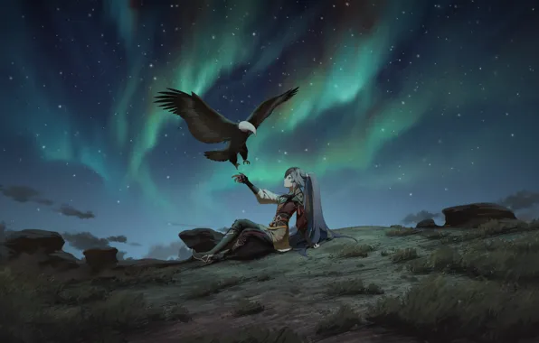 Girl, night, eagle, Northern lights, Honkai Impact 3, Azure Empyrea