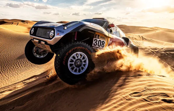 The sun, Sand, Mini, Sport, Machine, Car, 308, Rally