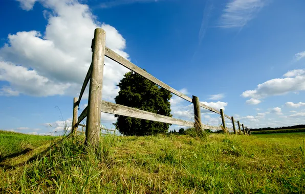 Field, the sky, grass, Wallpaper, landscapes, the fence, meadow
