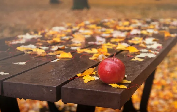 Picture drops, bench, apples, falling leaves