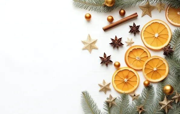 Branches, oranges, Christmas, white background, New year, fruit, needles, circles