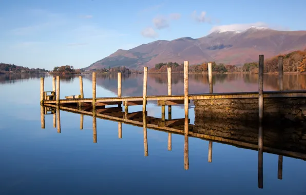 Picture forest, trees, mountains, bridge, lake, morning, the bridge