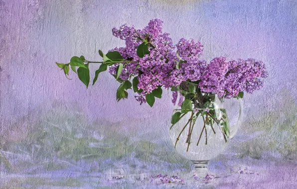 Picture background, spring, lilac