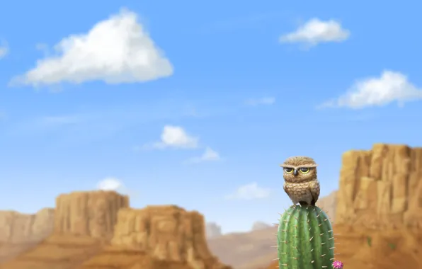 Mountains, rocks, owl, desert, cactus
