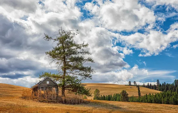 United States, Idaho, Culdesac