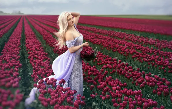 Picture field, girl, tulips