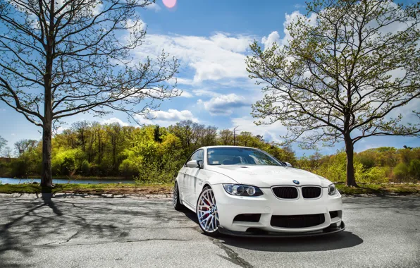 Picture BMW, White, E92, Trees, M3, Front view
