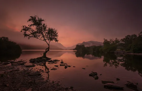 Mountains, night, lake