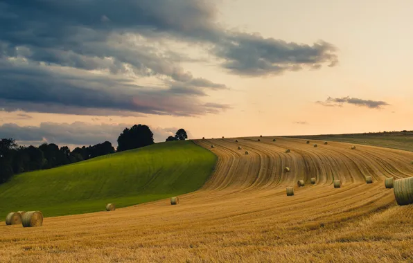 Field, autumn, hay, bales, straw, bales