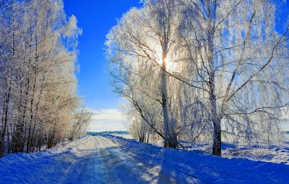 Picture winter, road, forest, the sky, snow, trees, landscape, nature